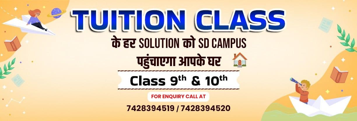 Courses | SD Campus